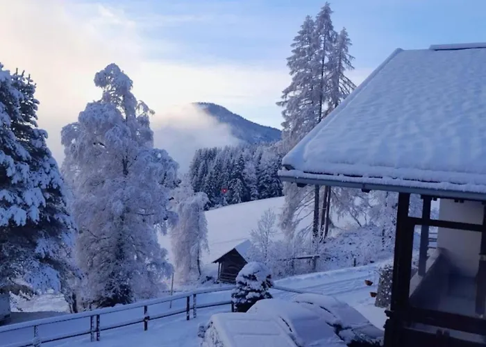 Apartman Pfeffermuehle - Kaernten Card Im Sommer Inklusive Bad Kleinkirchheim